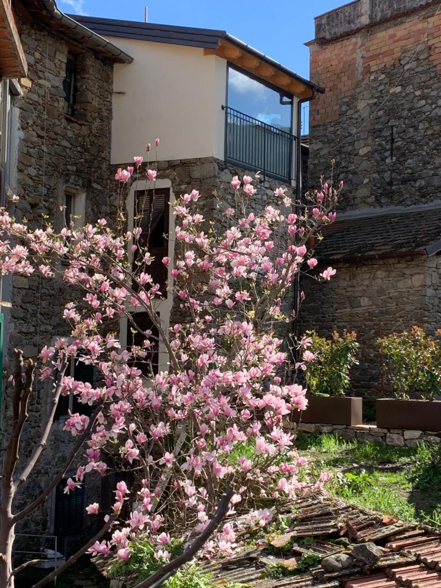 Vicolo Rosso 2 Villa Dolceacqua Exterior photo